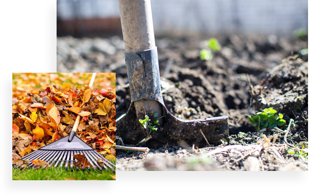 Strata landscape Maintenance services Delta
